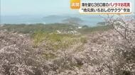 桜と海織りなす“瀬戸内の春”今治の穴場の公園で３６０度パノラマ　地元のグルメも花見に“彩り”【愛媛】