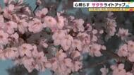 地震で人口減少が加速…石川県穴水町の前波地区で桜のライトアップ 住民たちが開いたイベントと医師の思い
