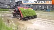 暑さに強い新潟米「なつひめ」今年ついにデビューへ！上越で田植えはじまる　生ごみをリサイクルした肥料使いコスト削減の取り組みも生育注目
