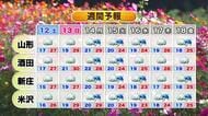 【天気／山形】11日 各地とも午後より午前の降水確率高め　中村友祐気象予報士の予報(2)