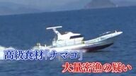 「出てこい！どこおるや！」海上に響く怒声 “密漁家族”の逃走劇 価格高騰のナマコ“黒いダイヤ”約620kg【福岡発】