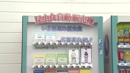 バッタやゲンゴロウ…「昆虫食」を自販機で　旬”の商品並べ、初心者向けにクッキーも【佐賀発】