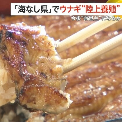 二の丑“変わり種”うなぎサンドが浅草で人気…「海なし県」埼玉でウナギ約3万匹を“陸上養殖”　輸入7割の“救世主”になるか