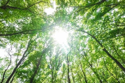 「エシカル消費」という言葉の意味を理解している人の内、6割以上の人が「エシカル消費」を実践している!株式会社SASSEが「エシカル消費」の実態を調査!