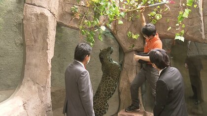 秋篠宮さまに託された両陛下や愛子さまのメッセージとは？　「那須どうぶつ王国」ご視察