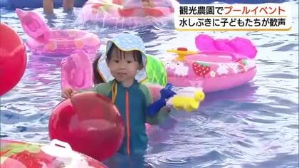 観光農園に巨大プール　高さ約4メートルの「スライダー」で涼満喫　イチゴづくし冷スイーツも（出雲市）