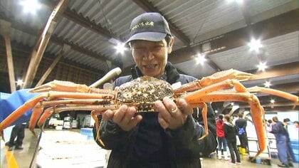 「甘さが格別！」越前がに　福井が誇る冬の味覚の王者「昔はおやつ代わり」　歴史をひも解くと…江戸時代にはすでに“特産”だった