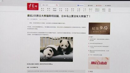 中国メディア「日本でパンダが見られなくなる」専門家の“貸し出し停止”見解報道…中国SNSで検索ランキング1位に