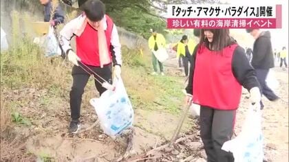 日本では珍しい有料の海岸清掃『タッチ・アマクサ・パラダイス』開催　美しい海と生物保護へ【熊本発】