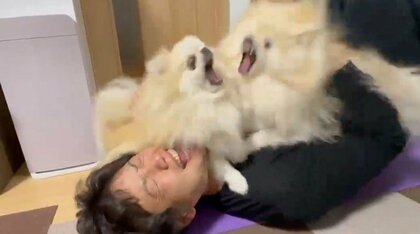 「ケ～ンカはやめてくださ〜い！」大好きなパパを姉妹で取り合い修羅場に？決着はついたのかその後を聞いた