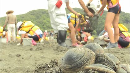 「知らなかった」は通用しない《潮干狩り》の“落とし穴”　アサリやシジミをとったら『密漁』で罰金刑に？