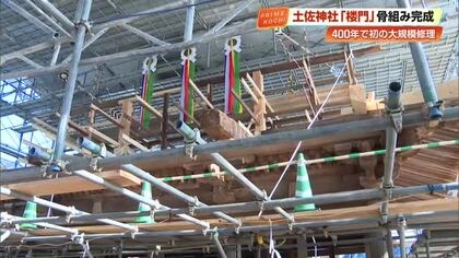 重要文化財・土佐神社の「楼門」が400年ぶり初の大規模修理　神事「上棟祭」行われる【高知】