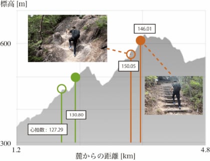 トレッキングポールの使い方、坂道の高さで変わる