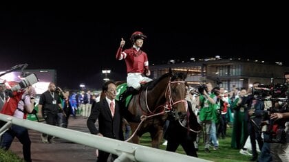 フォーエバーヤング ブリーダーズカップクラシック優勝記念 根岸S