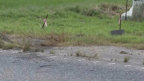 「死のうと思って」意図的に対向車線の車に正面衝突か　22歳男を殺人未遂容疑で逮捕　茨城・桜川市