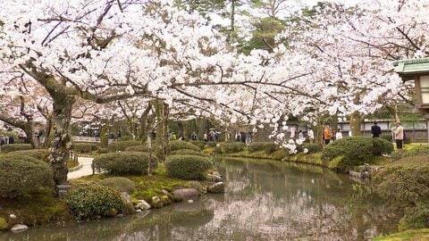 4月最初の週末は全国で“春の嵐”　名所の「兼六園」は桜満開　「野球拳」全国大会や日本最大級ペットイベントも開催