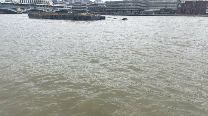 雨上がりだけでなく、年中この色のテムズ川。