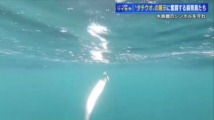 待望の1匹目を釣り上げる様子