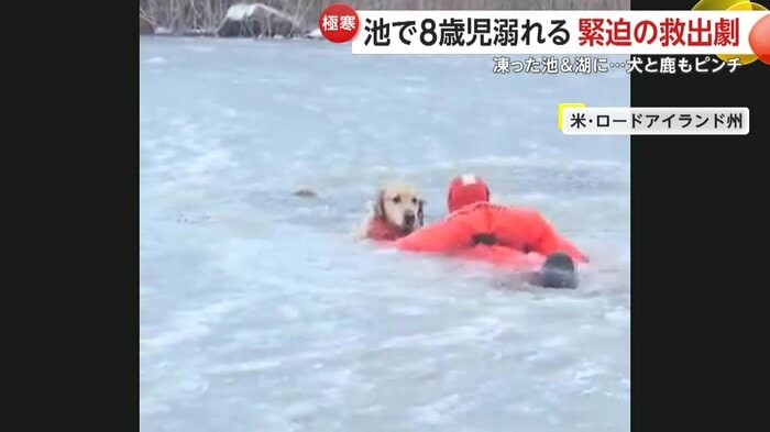 凍った池の中から救助される犬（Misquamicut Fire Department）