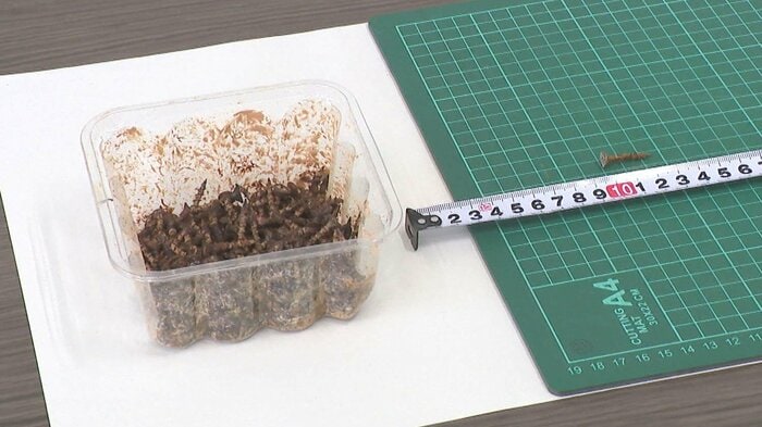 弥彦山スカイラインに落ちていたネジ