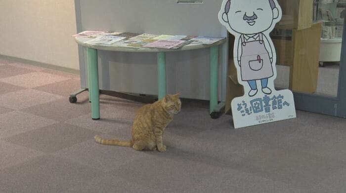 トラネコの「ムクニャン」