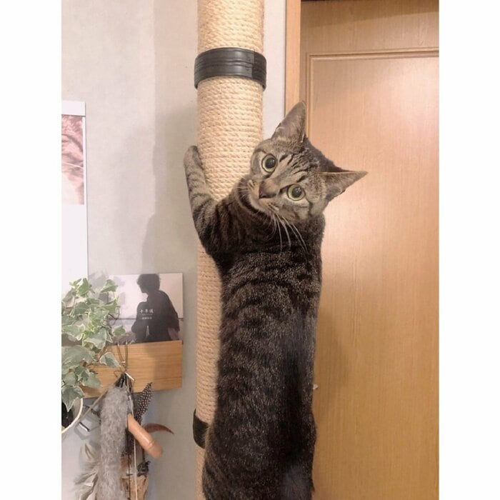 写真を撮られるのが好き カメラ目線は欠かさない!