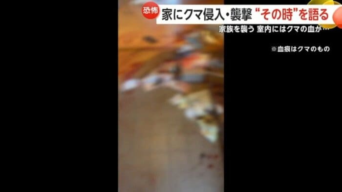 玄関の床に物が散乱