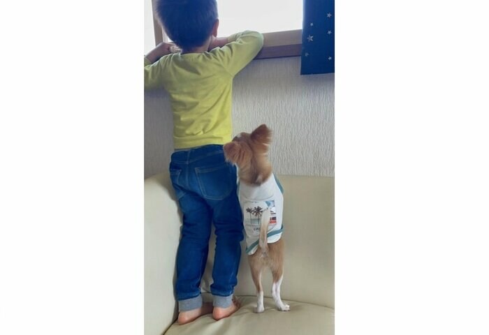 提供:ふくのすけさん