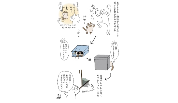 (驚かし失敗エピソードマンガ 提供:のべ子さん)
