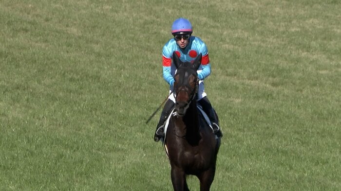 去年の2歳未勝利戦を制したバステール