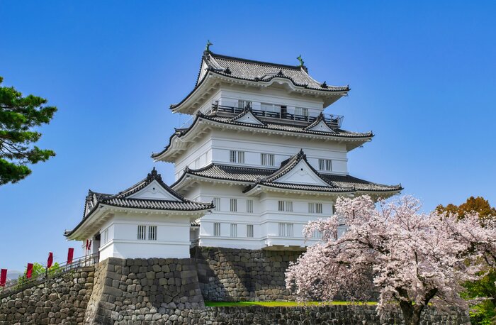 小田原城(画像:イメージ)
