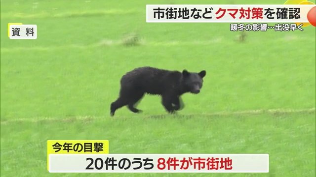 市街地での目撃は4割に上る