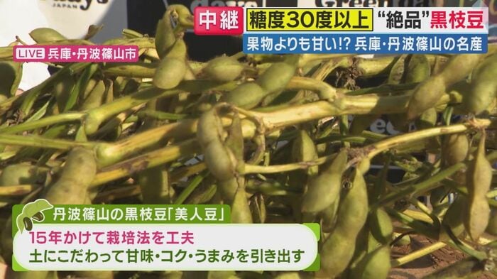 美人豆の栽培へのこだわり（関西テレビ「旬感LIVEとれたてっ！」より）