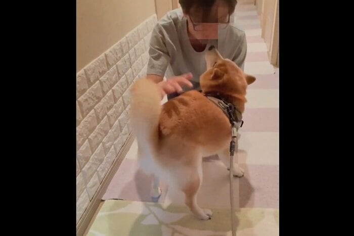 でも旦那さんと栗太郎くんは仲良し!