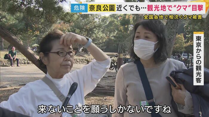 東京からの観光客