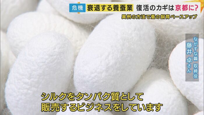 シルクを糸ではなく、高機能タンパク質と定義