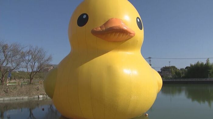 国東市のため池に設置された「ラバーダック」