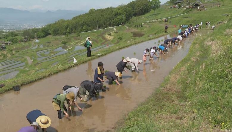「日本の棚田百選」で「お田植え祭り」　200人余りが参加　コメの価格高騰もあり参加者は「お米が高いので今日植えたのが必ず来るのは安心」｜FNNプライムオンライン