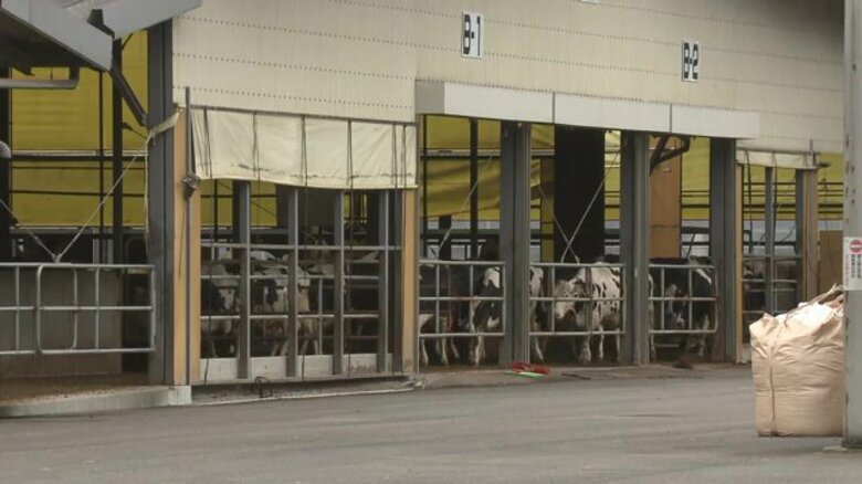 敷地内に死んだ子牛200頭を埋葬で牧場に強制捜査　“自ら処分”で廃棄物処理法違反に　社長は違法の認識なし｜FNNプライムオンライン