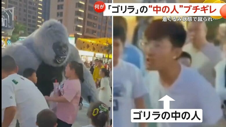 「これ着てみろよ！」…ゴリラの中の人”ブチギレ”　保護者に蹴られ3メートル吹っ飛ぶ　一触即発の事態に　中国・陝西省｜FNNプライムオンライン