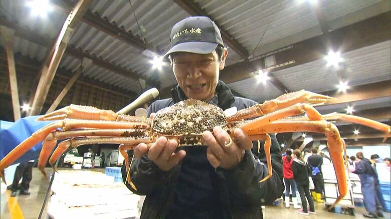 「甘さが格別!」越前がに 福井が誇る冬の味覚の王者「昔はおやつ代わり」 歴史をひも解くと…江戸時代にはすでに“特産”だった|FNNプライムオンライン
