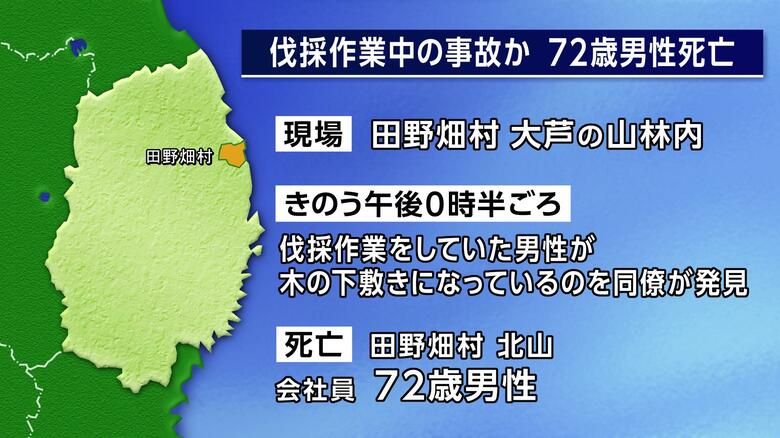 伐採作業中の事故か　72歳男性死亡　岩手・田野畑村の山林｜FNNプライムオンライン