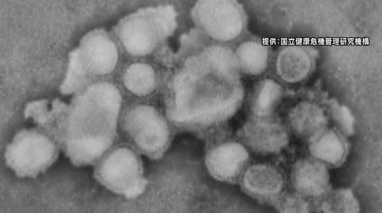 インフルエンザ2週連続で減少も…依然、多い状態続く　年末年始は人の移動や接触の機会が増える時期　長野県が感染予防呼びかけ｜FNNプライムオンライン