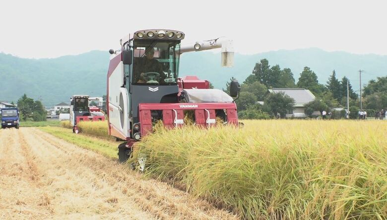 「コシヒカリ」稲刈り始まる　猛暑や少雨の影響は…農家「今のところ例年並み」　JAも例年並みの集荷量見込む　｜FNNプライムオンライン