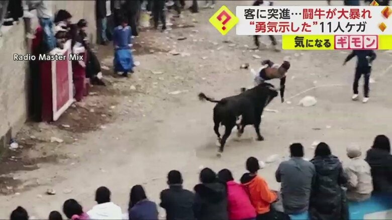 【2日で11人ケガ】ペルー伝統の闘牛祭り開催　男性「かかってこい」と一騎打ち挑むも病院搬送　目的は”自分の勇気試す”｜FNNプライムオンライン