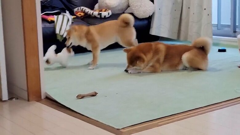 止まる様子がない