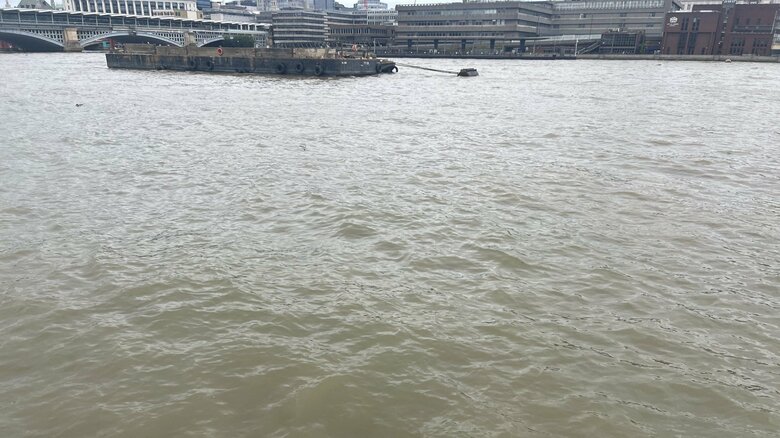 雨上がりだけでなく、年中この色のテムズ川。