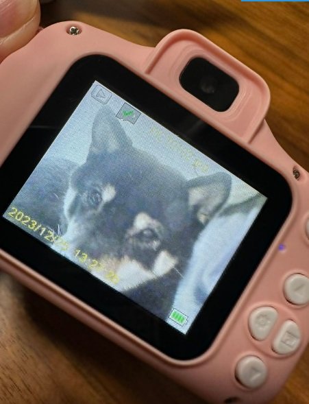 他に娘さんが撮った写真がこちら。“どアップ”の和凪ちゃん