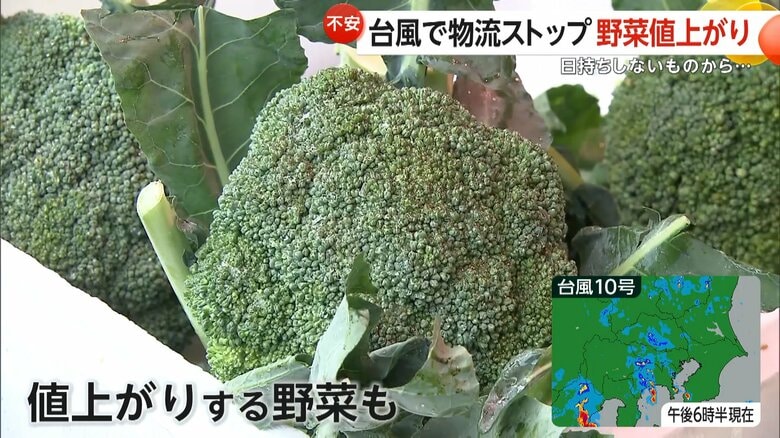 台風の影響で物流が止まり、値上がりする野菜が出ていた都内のスーパー