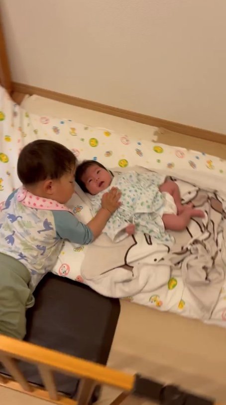 提供：＠zen_pokoさん